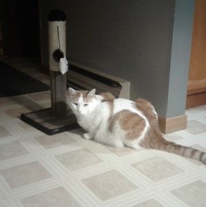 Meet your Posher, Geraldine